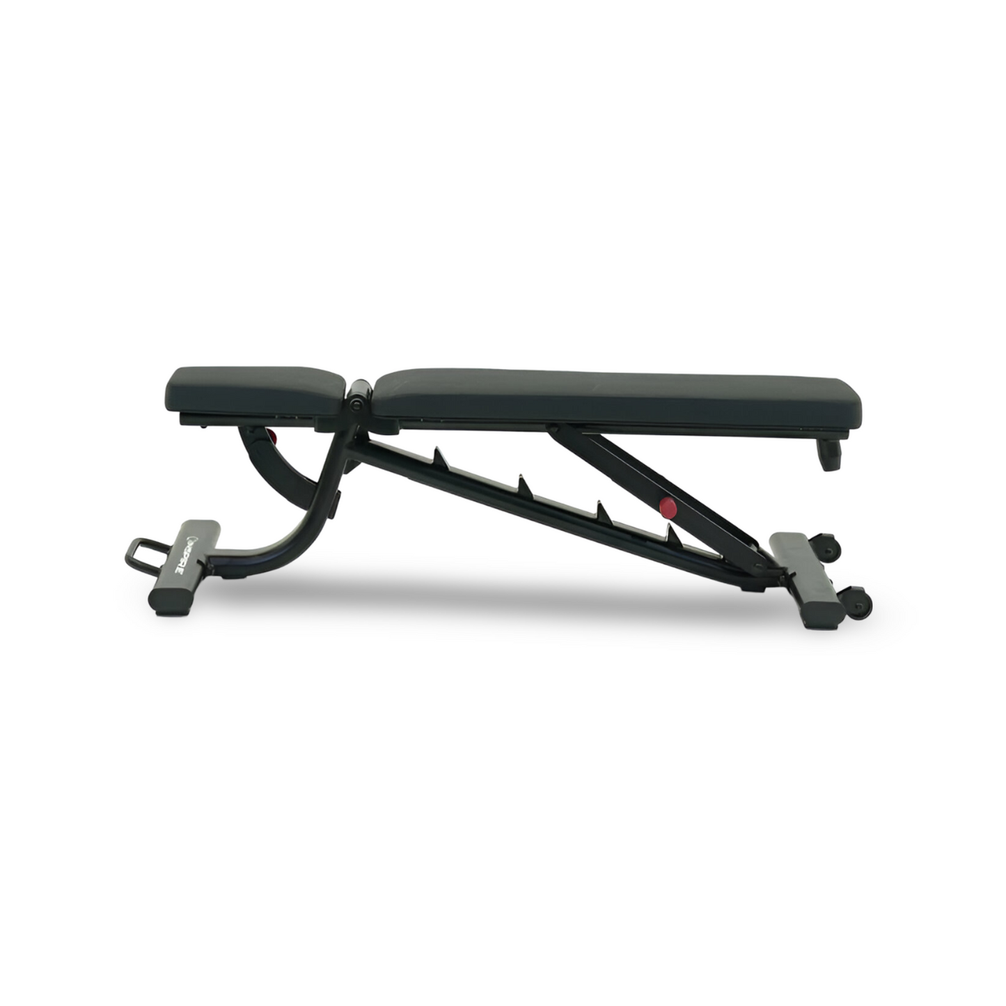 FID3 FLAT, INCLINE, DECLINE WORKOUT BENCH