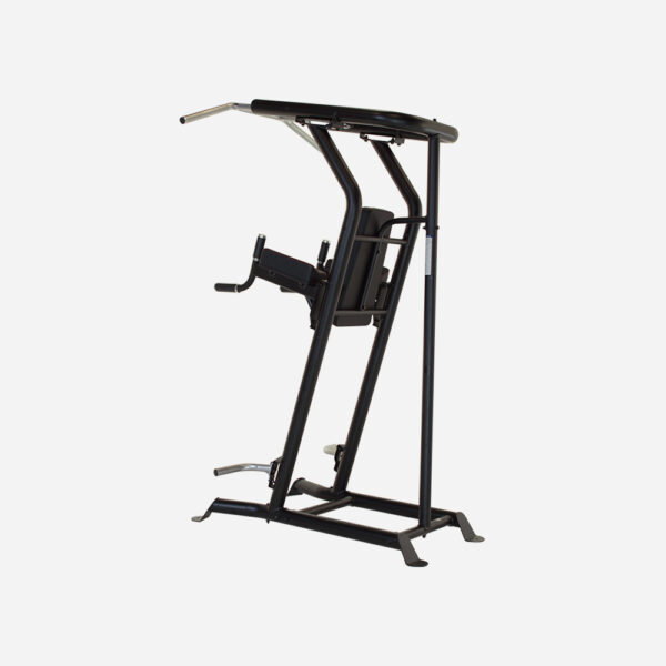 SIT Hardcastle VKR Power Tower pull CHIN UP BAR AB Knee Raise STAZIONE DIP push 